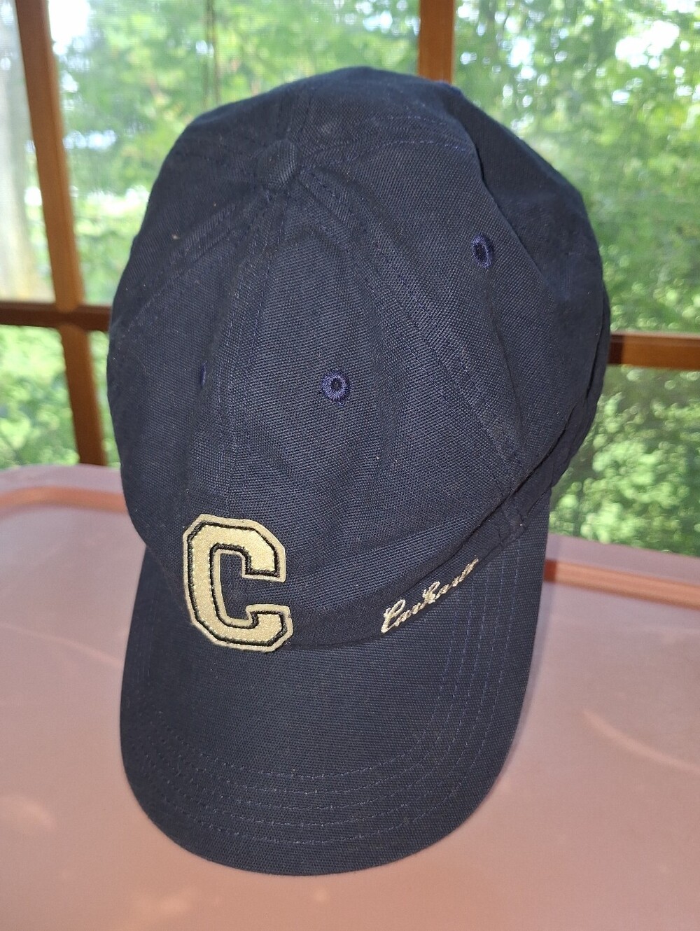 Carhartt Canvas Cap